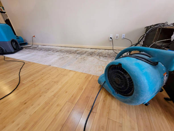 Reliable Basement Flood Cleanup contractor in Banning, CA by Hirex Water Damage