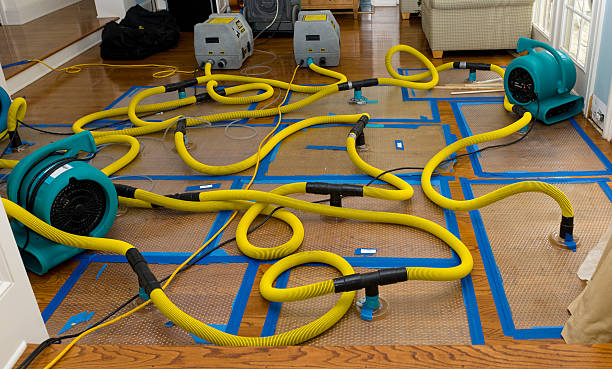 Professional Basement Flood Cleanup technician working in Banning, CA